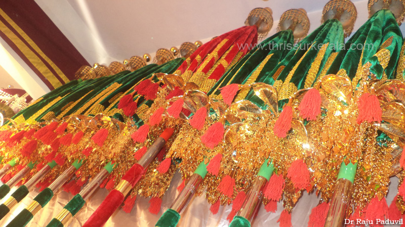 thrissur-pooram-2013-1 (5)